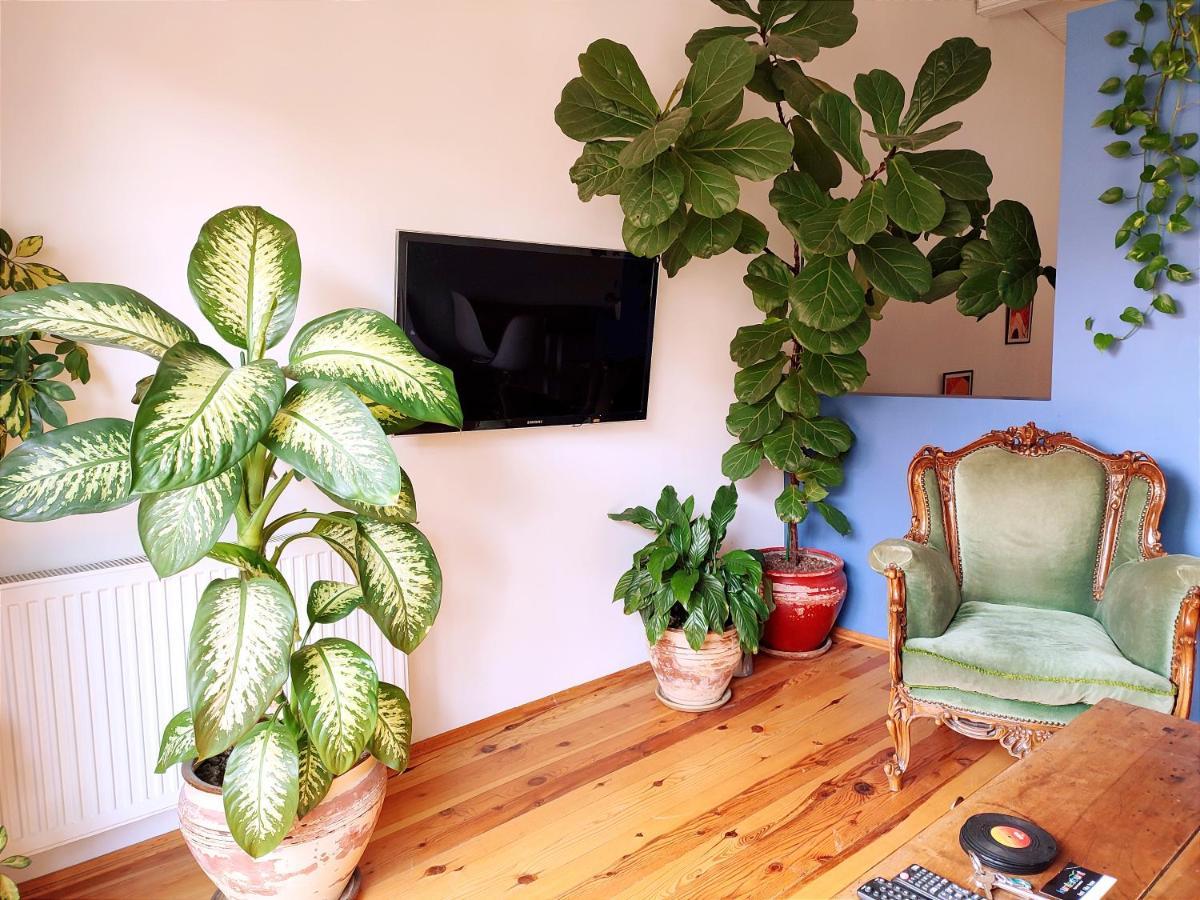 Kunterbunt Istanbul Apartment Luaran gambar